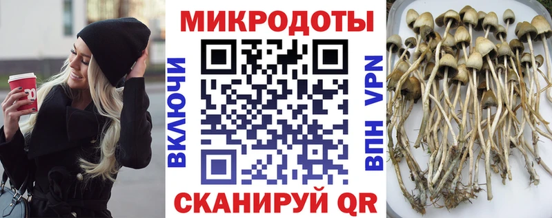 где продают наркотики  Шарья  Псилоцибиновые грибы Cubensis 
